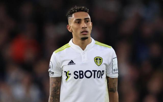 充满激情的 充满激情的