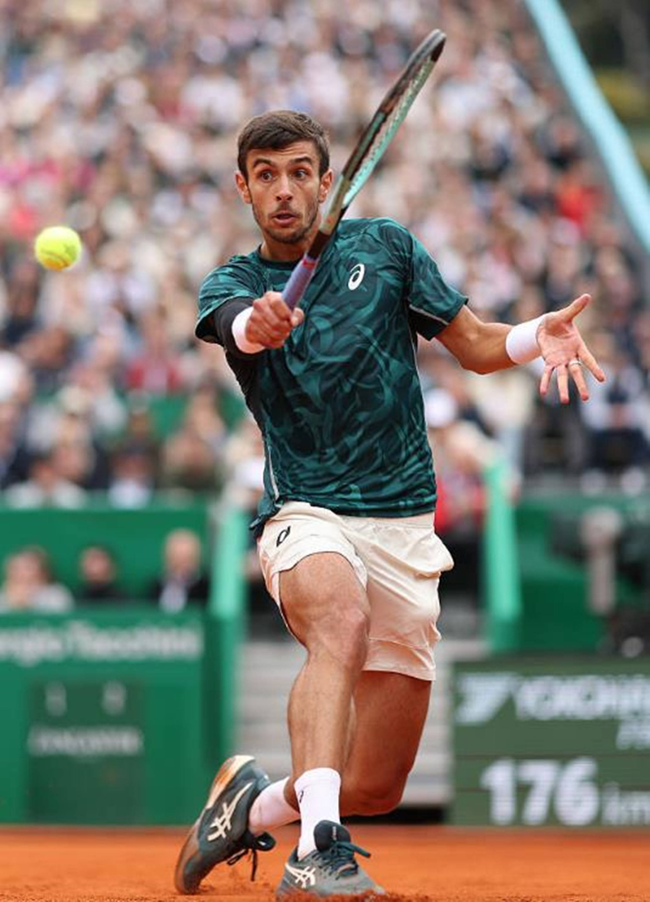 神的升华 神的升华