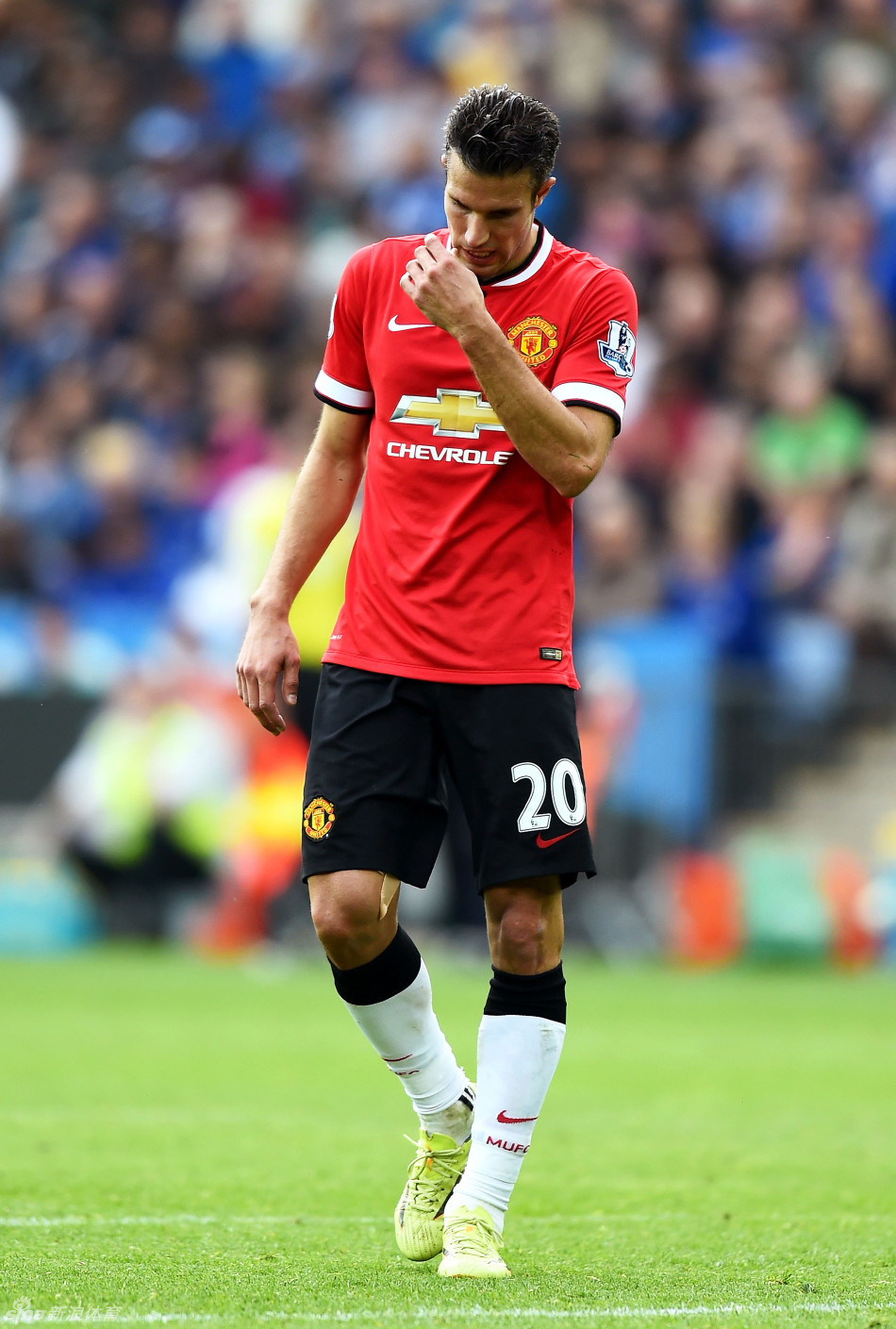 丰富IP运 丰富IP运